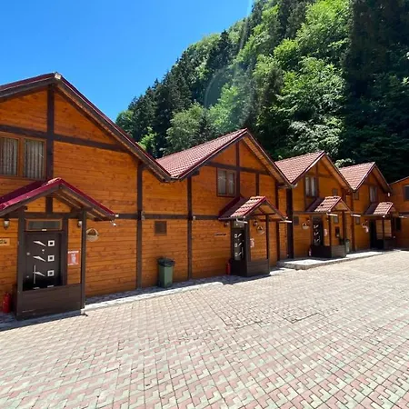 Kaya Apartment Uzungol