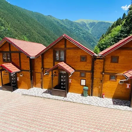 Kaya Uzungol