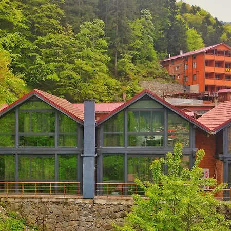 Apartment Kaya Uzungol